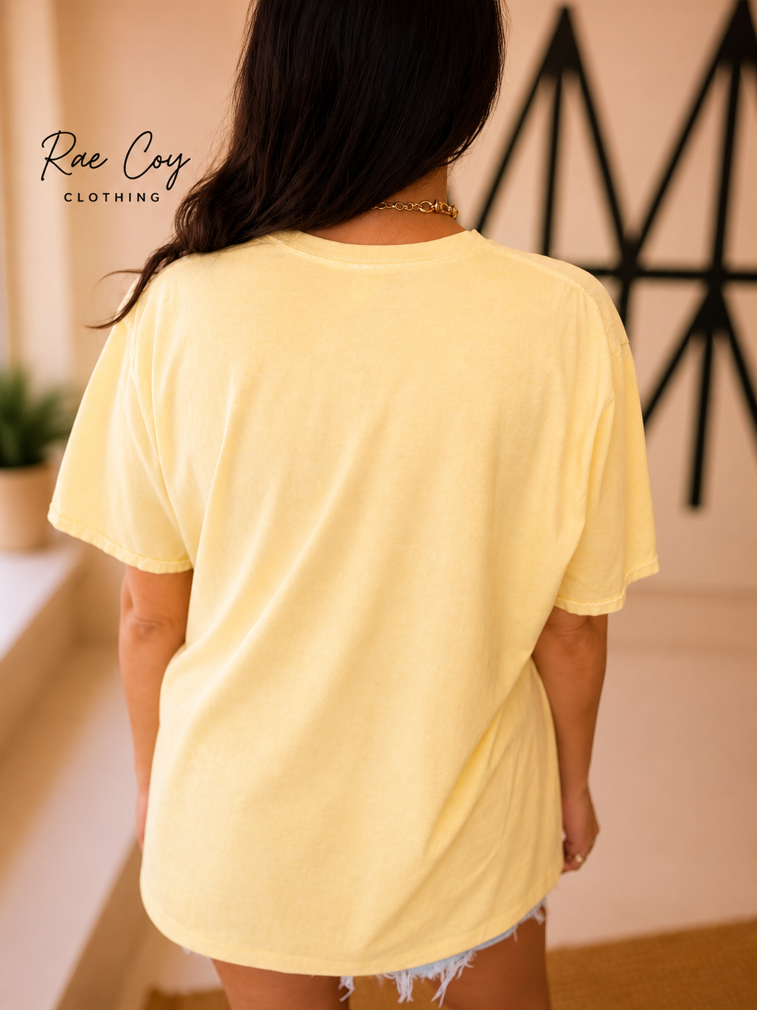 Take Flight Duck Graphic Tee