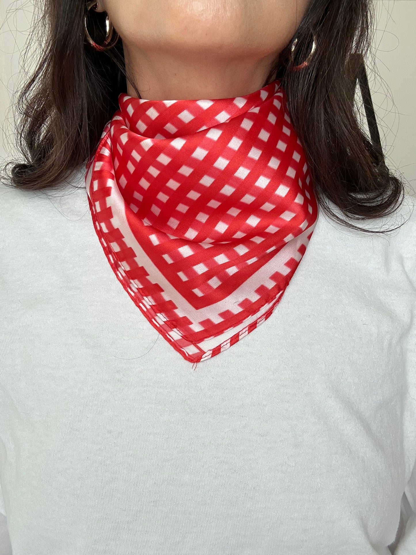 Red gingham silky feel scarf