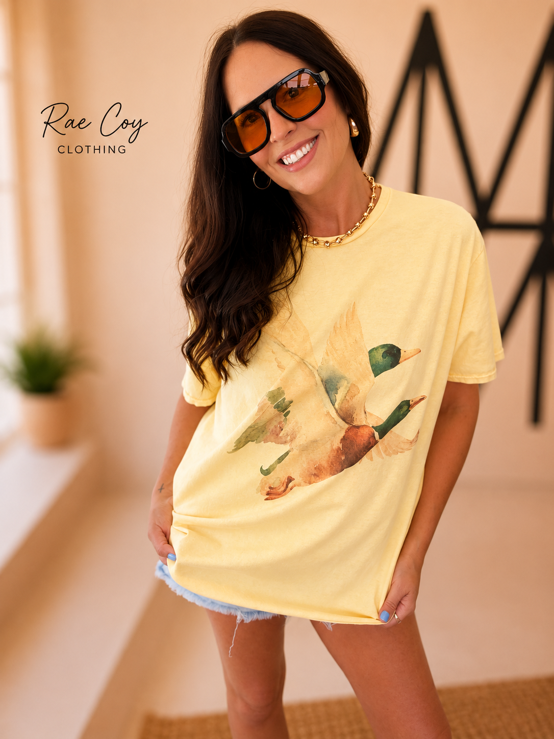 Take Flight Duck Graphic Tee